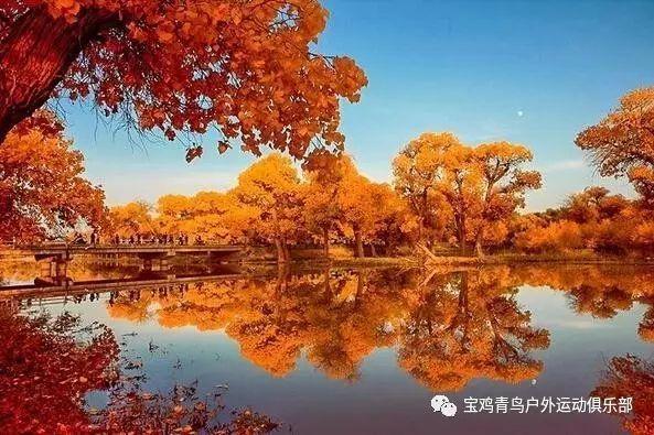火影忍者OL