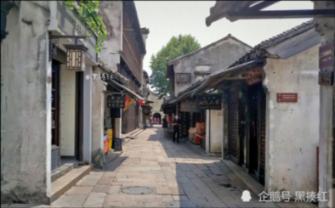 盐和避难所